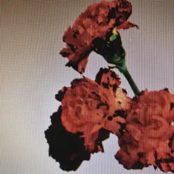 Made To Love (Remixes) - Single - John Legend