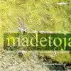 Stream & download Madetoja: Orchestral Works, Vol. 2