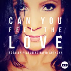 Can You Feel the Love (feat. David Anthony) - Single - Rozalla Can You Feel the Love (feat. David Anthony) - Single - Rozalla