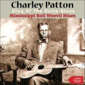 Mississippi Boll Weevil Blues (The Complete Recordings 1929, Vol. 1) artwork