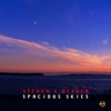 Spacious Skies - Single