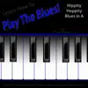Learn How to Play the Blues! (Hippity Hoppity Hip Hop in the Key of a) [for Piano, Keys, Synth, Organ, And Keyboard Players] song lyrics