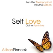 Self Love for the Divine Feminine (Lets Get Metaphysical Vol 16) artwork