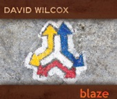 David Wilcox - Oil Talking to Ya