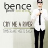 Cry Me a River - Single