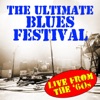 The Ultimate Blues Festival Live From the '60s