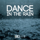 Dance in the Rain (Extended Mix) artwork