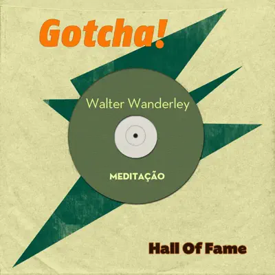 Meditação (Hall of Fame) - Walter Wanderley Meditação (Hall of Fame) - Walter Wanderley