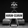 Harum-Scarum artwork