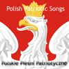 Polskie Pieśni Patriotyczne - Various Artists