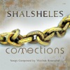 Shalsheles Connections