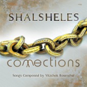 Niggun Shalsheles (feat. Dudi Kalish & the Yedidim Choir) artwork