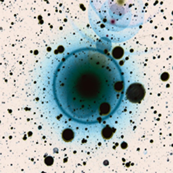 Cover artwork for Simple Science (Radio Edit)