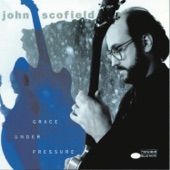 John Scofield - Scenes From A Marriage