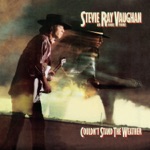 Stevie Ray Vaughan & Double Trouble - Honey Bee