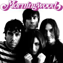 Jetsetter - Single - MorningWood
