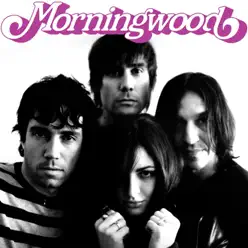 Jetsetter - Single - MorningWood Jetsetter - Single - MorningWood