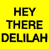 Hey There Delilah by Plain White T's