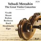 Violin Concerto No. 1 in G Minor, Op. 26: II. Adagio artwork