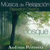 Música de Relajación, Relaxation Dreams: El Bosque artwork