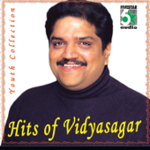 Hits of Vidyasagar - Vidyasagar