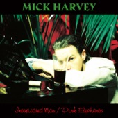 Mick Harvey - 69 Erotic Year