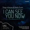 I Can See You Now - Single album lyrics, reviews, download