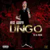 Lingo (No Dj) album lyrics, reviews, download