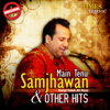 Main Tenu Samjhawan & Other Hits - Various Artists