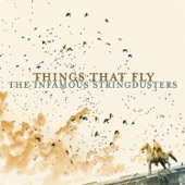 The Infamous Stringdusters - In God's Country