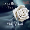 Feyzullah Koç - Seni Görmeyen