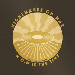 Nightmares On Wax - Survival Dub