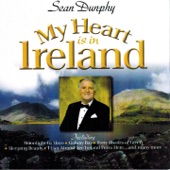 My Heart Is in Ireland artwork