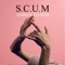 Fountains - S.C.U.M lyrics