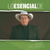 David Lee Garza - Preciosa