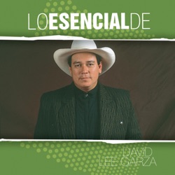 David Lee Garza & Los Musicales - Al Partir