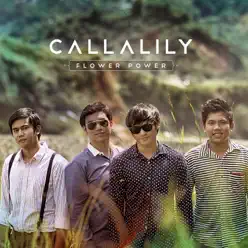 Flower Power - Callalily Flower Power - Callalily