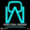 Spectral Repair - Paco Maroto & Florian Gasperini lyrics