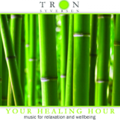 Your Healing Hour - Tron Syversen