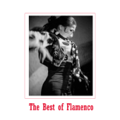 The Best Of Flamenco - Vários intérpretes