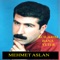 Ağlamasınlar - Mehmet Aslan lyrics