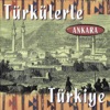 Türkülerle Türkiye - Ankara, 2014