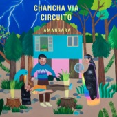 Coplita (feat. Miriam García) artwork
