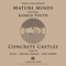 Concrete Castles-2 (feat. Rankin Youth) - Mature Minds lyrics