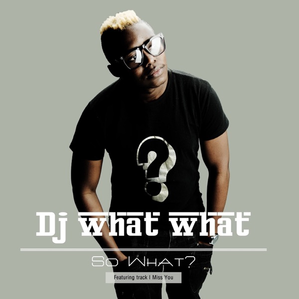 DJ What What - I Miss You (feat. Caylin)