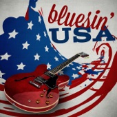 Bluesin' USA artwork