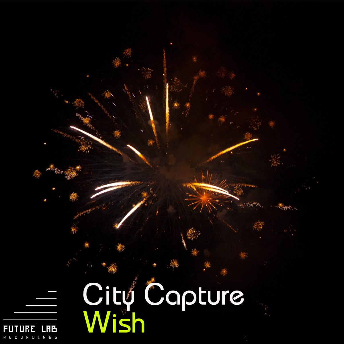 Wish city