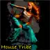 House Tribe album cover