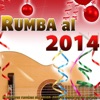 Rumba al 2014. Las Mejores Rumbas Sin Pausa para la Fiesta de Fin de Año