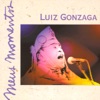 Luiz Gonzaga - Meus Momentos